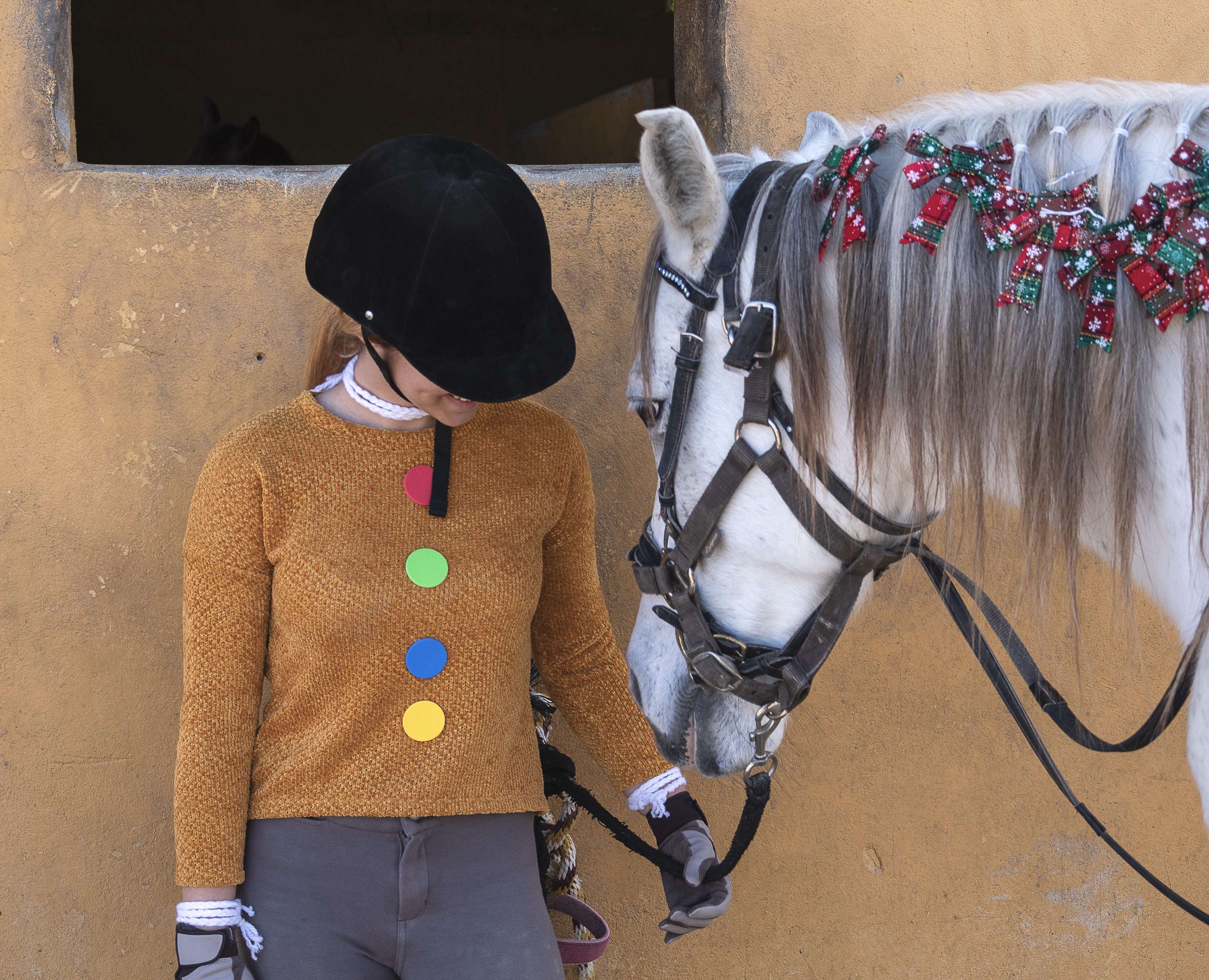Horse riding Costa Del Sol
