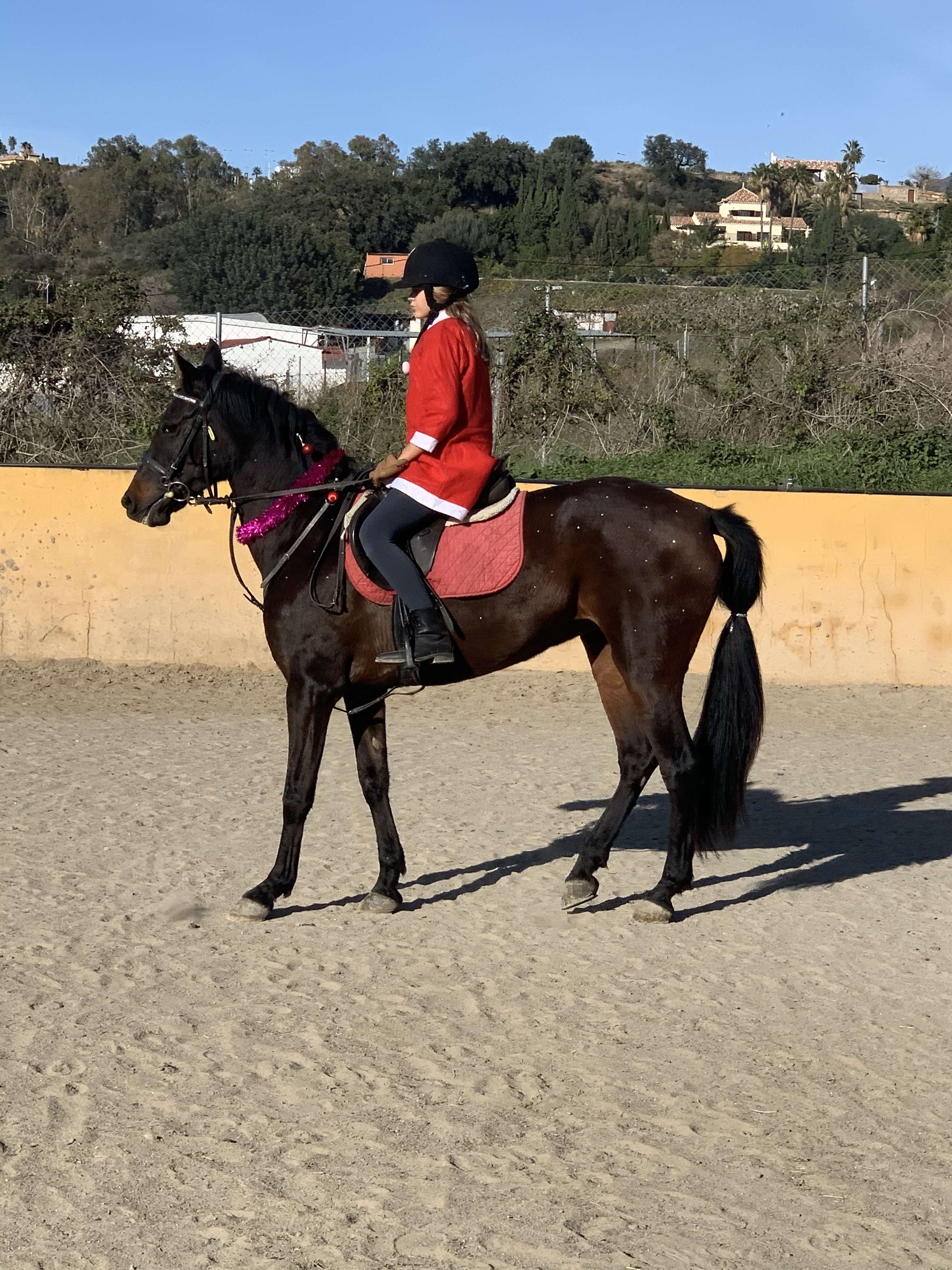 Kids riding lessons Estepona