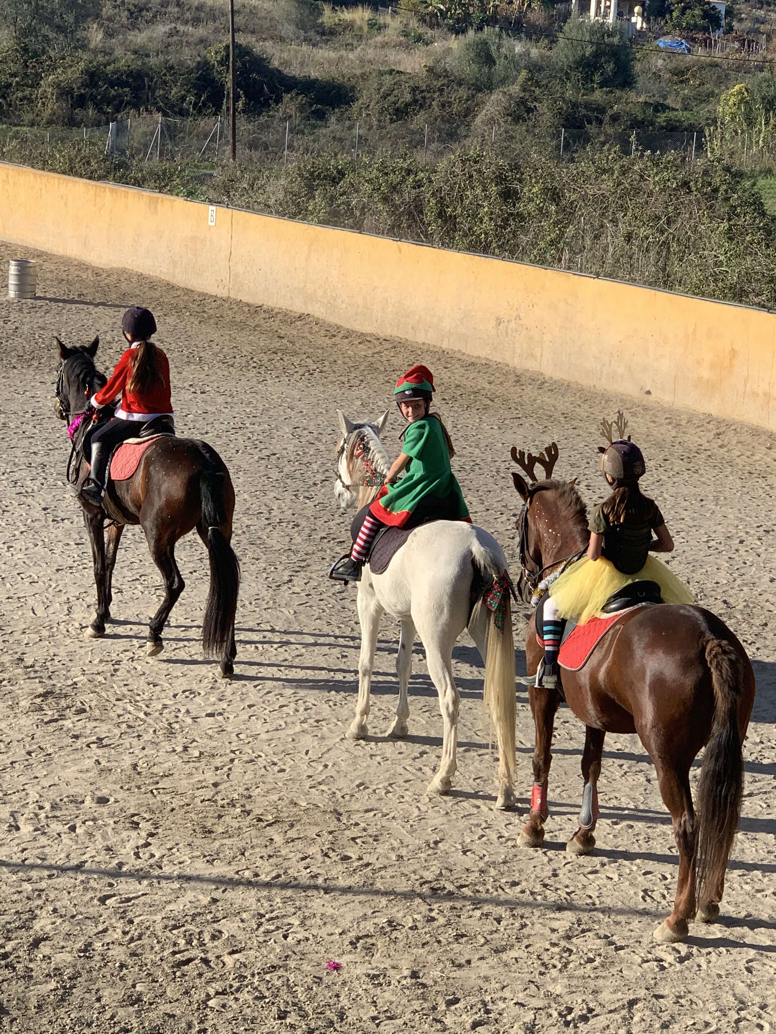 Kids riding lessons Estepona