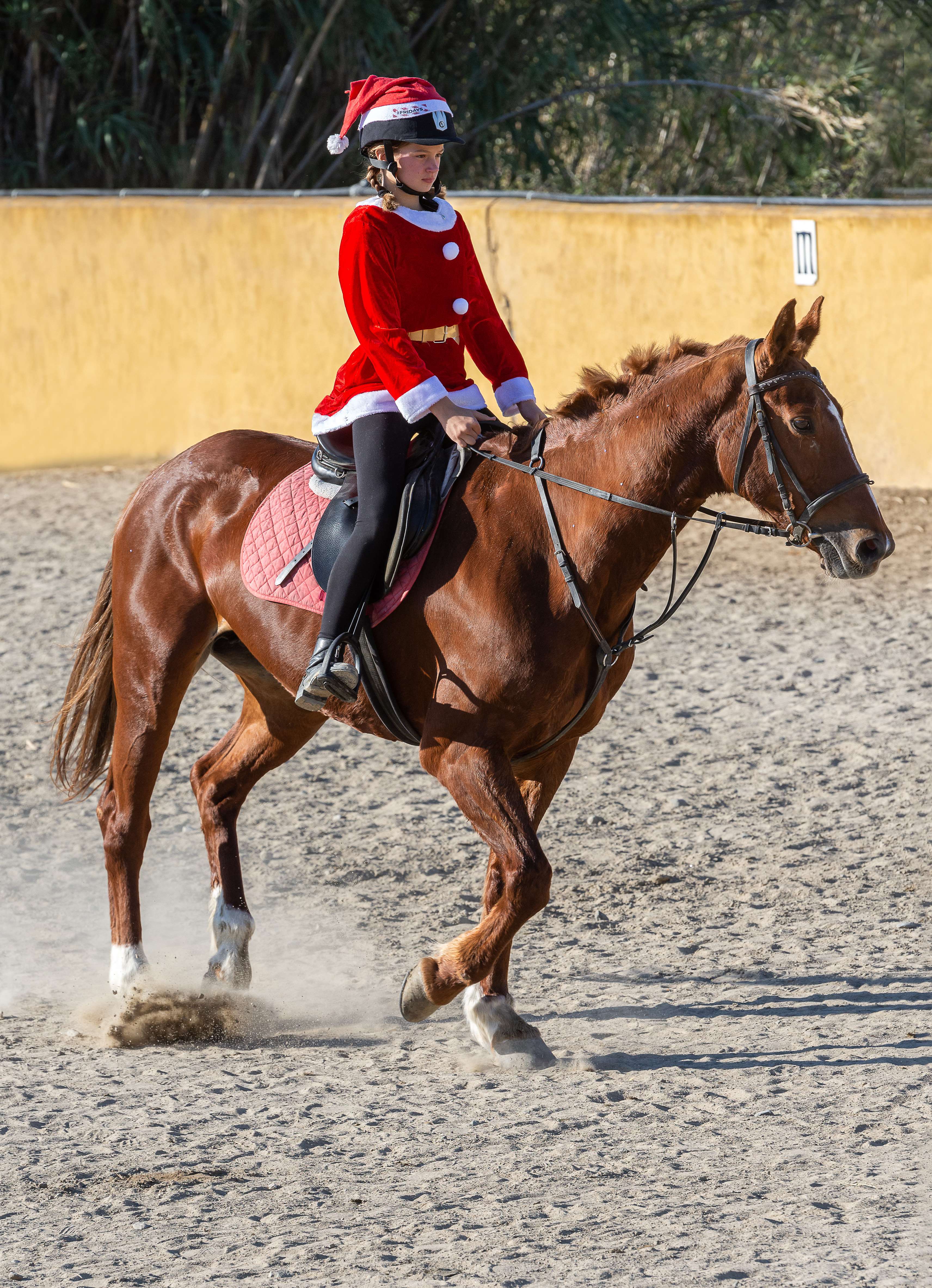Kids riding lessons Estepona