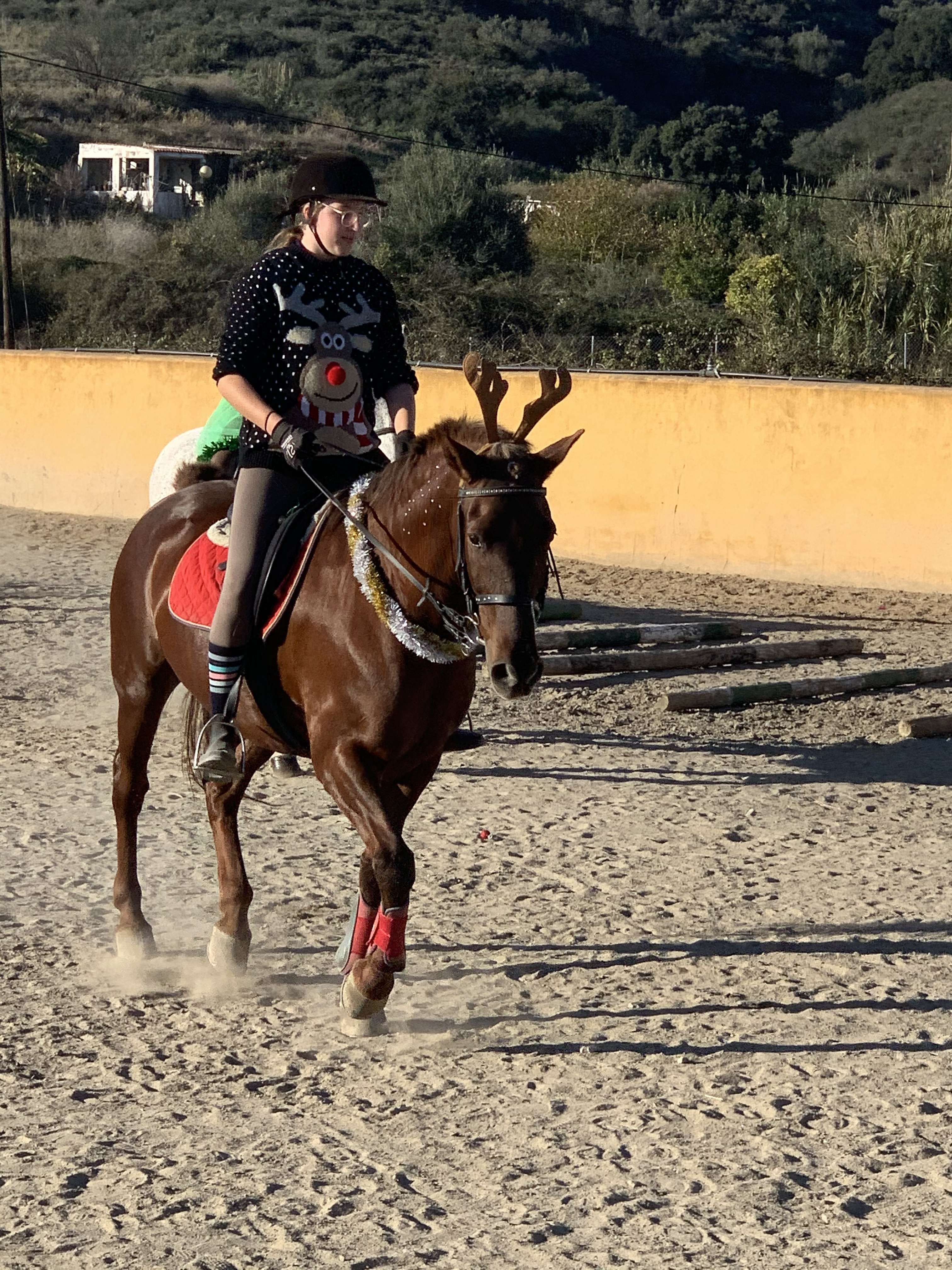 Kids riding lessons Estepona