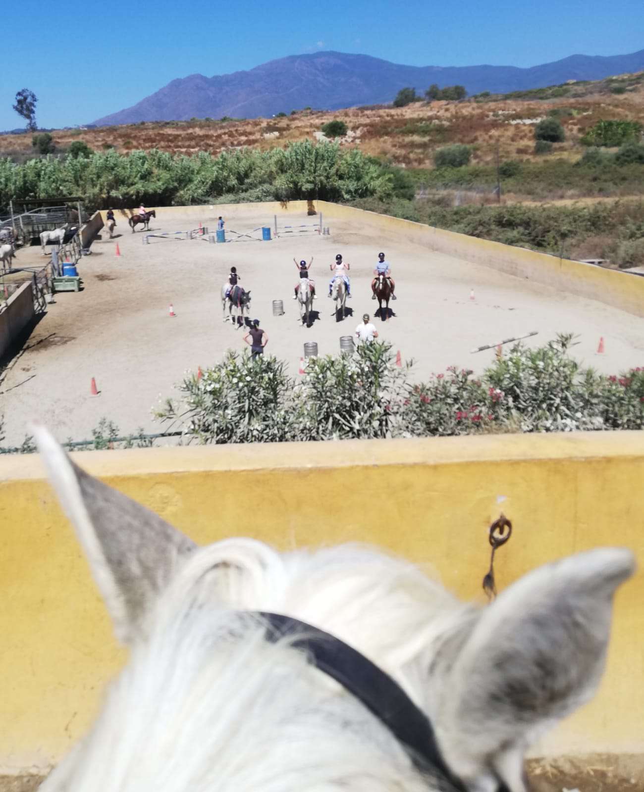 Ranch Siesta Los Rubios beginners horse riding in Estepona Saddle Up Experience